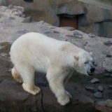 My Picture Gallery (5/291)