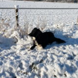 My Picture Gallery (17/291)