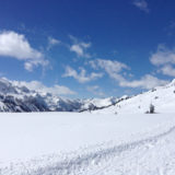 My Picture Gallery (266/291)