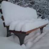 My Picture Gallery (29/291)