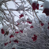 My Picture Gallery (30/291)