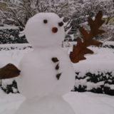 My Picture Gallery (46/291)