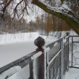 My Picture Gallery (45/291)