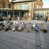 My Picture Gallery (91/291)