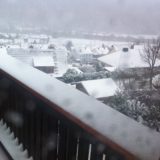 My Picture Gallery (105/291)