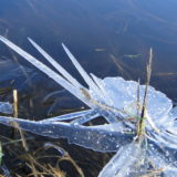 My Picture Gallery (176/291)