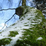 My Picture Gallery (178/291)