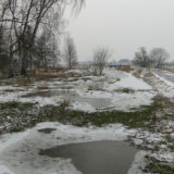 My Picture Gallery (179/291)