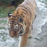 My Picture Gallery (180/291)