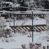 My Picture Gallery (181/291)