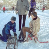 My Picture Gallery (185/291)