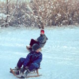 My Picture Gallery (186/291)