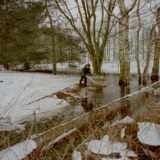 My Picture Gallery (187/291)