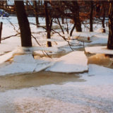 My Picture Gallery (188/291)