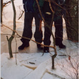 My Picture Gallery (191/291)