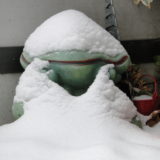 My Picture Gallery (192/291)