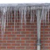 My Picture Gallery (194/291)