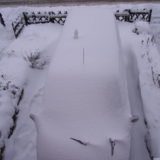 My Picture Gallery (195/291)