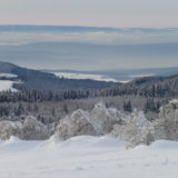 My Picture Gallery (196/291)