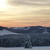 My Picture Gallery (197/291)