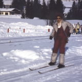 My Picture Gallery (217/291)