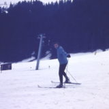 My Picture Gallery (223/291)