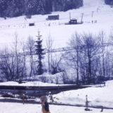 My Picture Gallery (224/291)