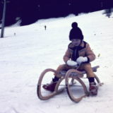 My Picture Gallery (229/291)