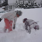 My Picture Gallery (259/291)